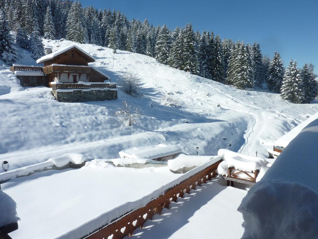 Les Ancolies 3* Courchevel